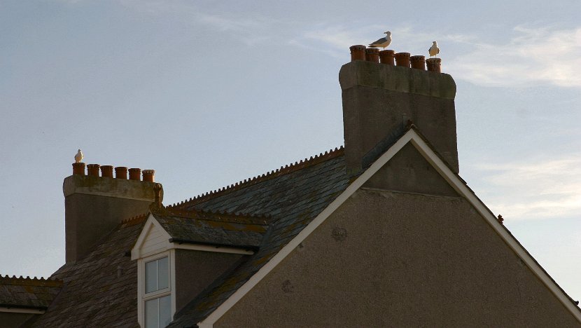 Tintagel 2006-06-05@1015-18